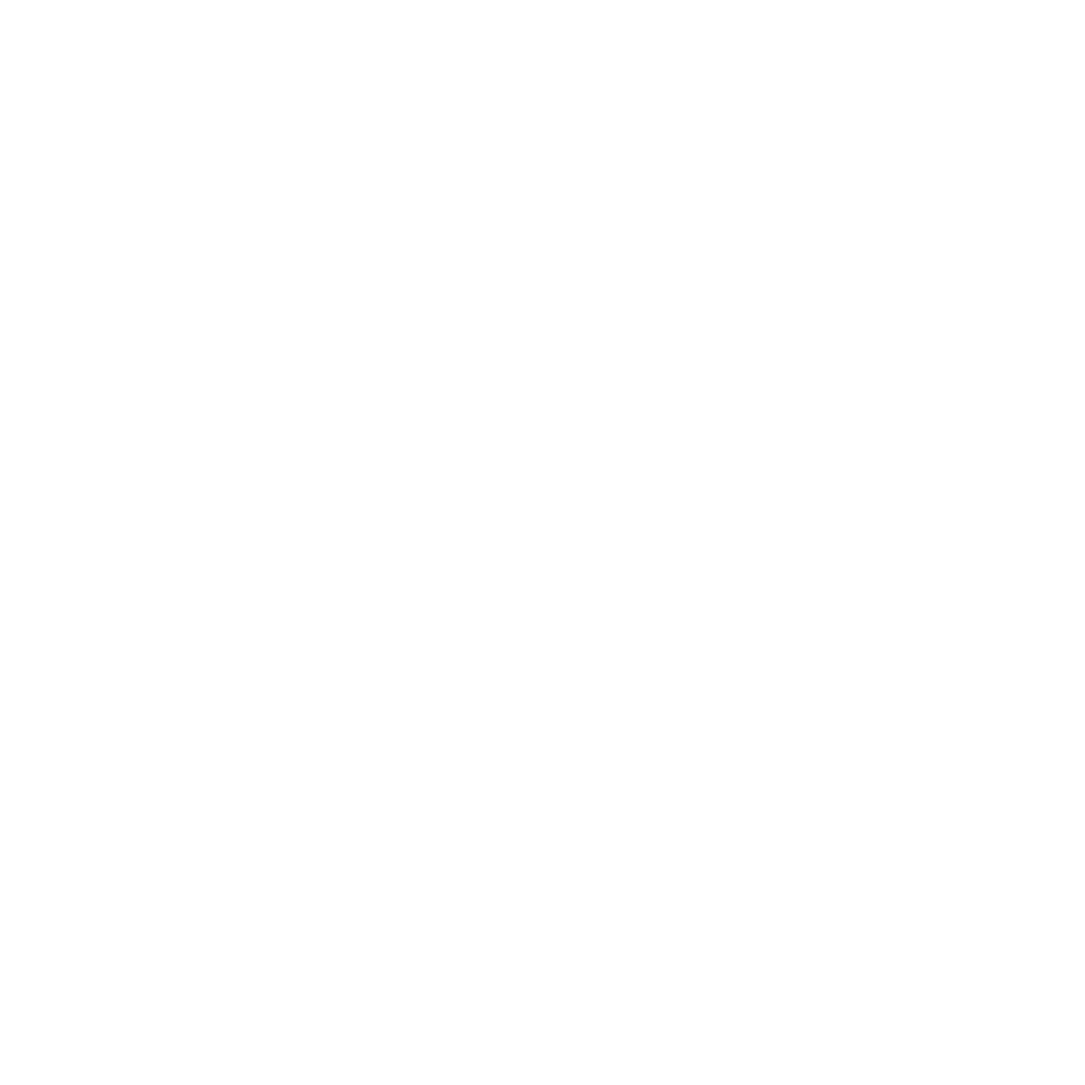 Forgotten Democrats